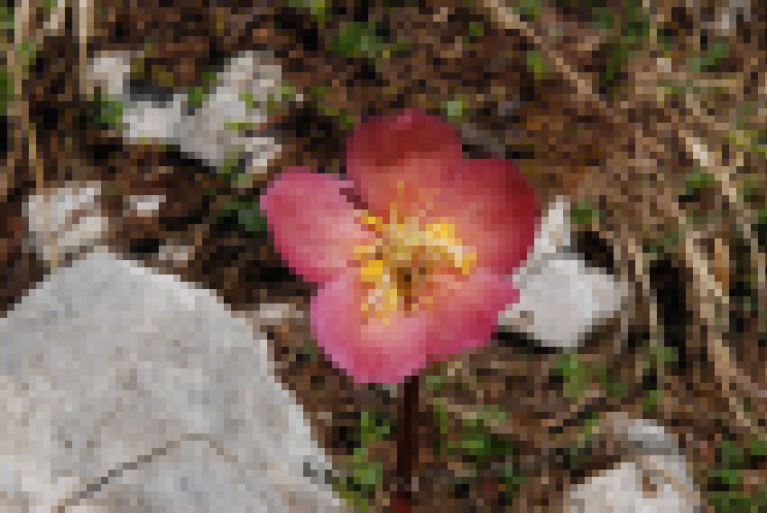 09 05094.JPG